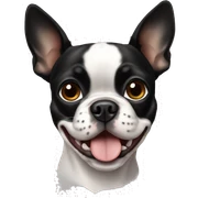 Boston terrier sticker