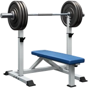 Gym sticker