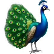 peacock sticker
