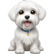 maltese sticker