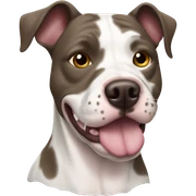 Merle pit bull  sticker