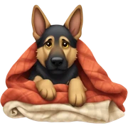 Sleepy German shepherd with blanket sticker