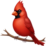 Cardinal sticker