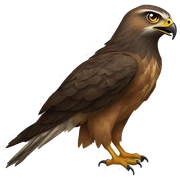 Hawk tuah sticker