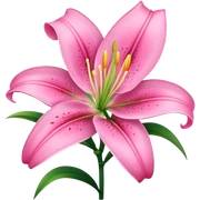 pink lily sticker