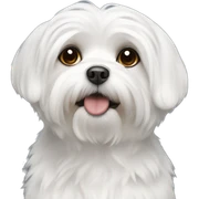 Maltese sticker