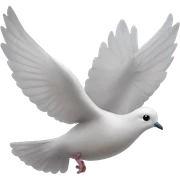 Dove sticker