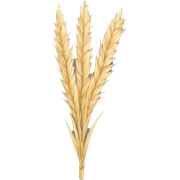 Pampas sticker
