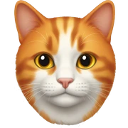 Orange cat sticker