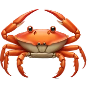 CRAB sticker
