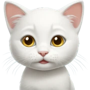 Cute white kitten sticker