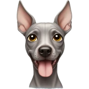 American Hairless Terrier sticker