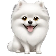 White Pomeranian sticker