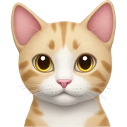 cat with heart sticker