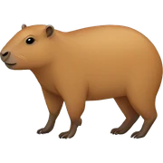 Capybara  sticker