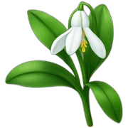 snowdrop  sticker