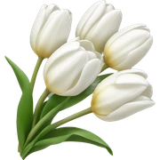 white tulip bouquet  sticker
