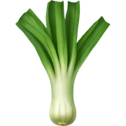 Leek sticker
