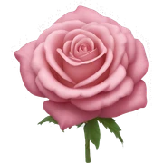 Un estomac rose sticker