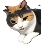 cat gazing at camera sticker