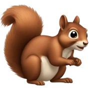 Squirrel  sticker