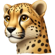Cheetah sticker