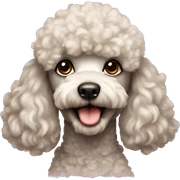 Poodle sticker