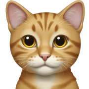 Cat black sticker