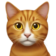 ginger cat with yellow eyes  sticker