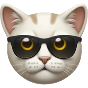 Cat with sunglasses sticker