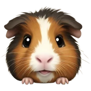 Guinea pig  sticker