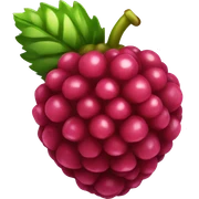 Raspberry  sticker