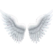 angel wings sticker