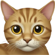 Cat sticker