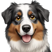 Australian shepherd sticker