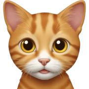 Orange tabby kitten  sticker