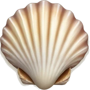 Seashell sticker