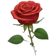 Red rose sticker
