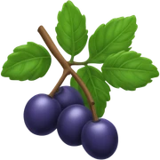 Chaste Berry Powder sticker