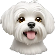 maltese dog sticker