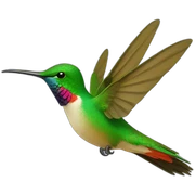 colibri sticker