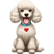 Poodle dog with a little heart sticker