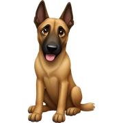 Belgian malinois sticker