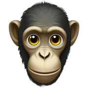 Monkey money sticker