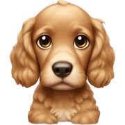 Baby cocker sticker