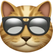 Cat with sunglasses sticker
