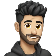 Zayn sticker