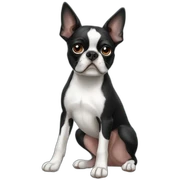 boston terrier sticker
