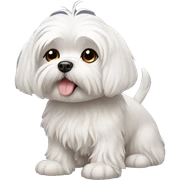 Maltese dog  sticker