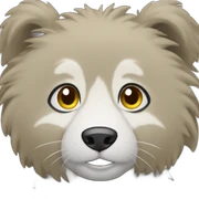 Waschbär-emojis sticker
